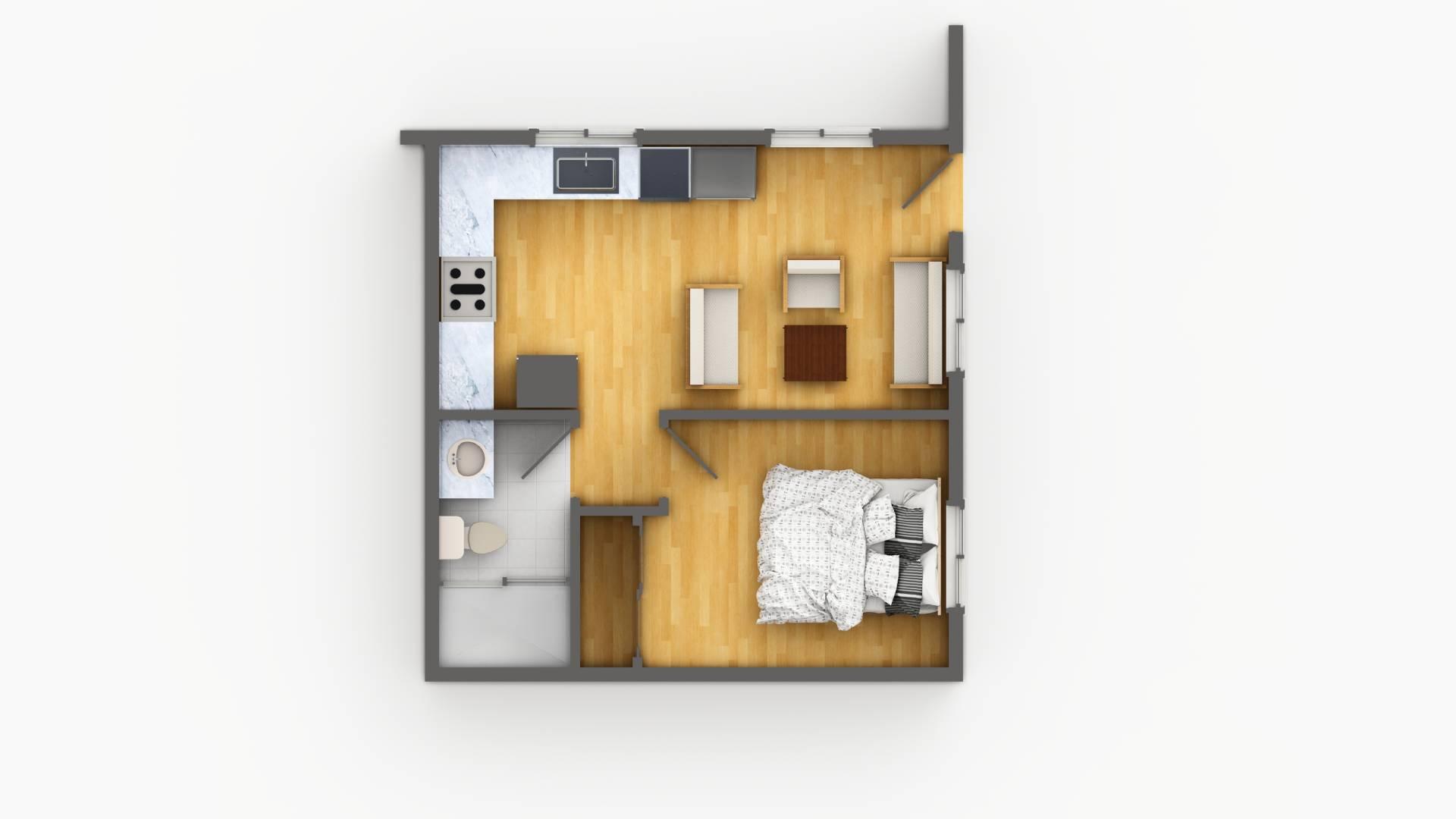 Garage Conversion